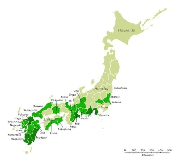 BLOG 40 Matcha and tea regions of Japan Hug the Tea