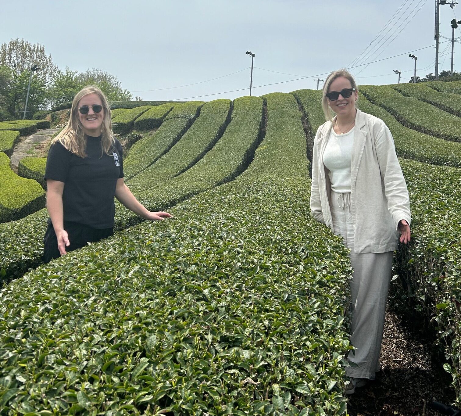 tea sisters in uji